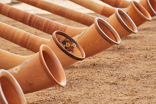 Alphornserenade in Wald